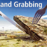 పొదిగే పిట్టకు తెలీకుండా గుడ్డును కొట్టేసే ఘనులు!