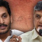 చంద్రబాబుకు కేవలం ఒక్క ఓటు రాకుండా జగన్ అడ్డుకోగలరా!