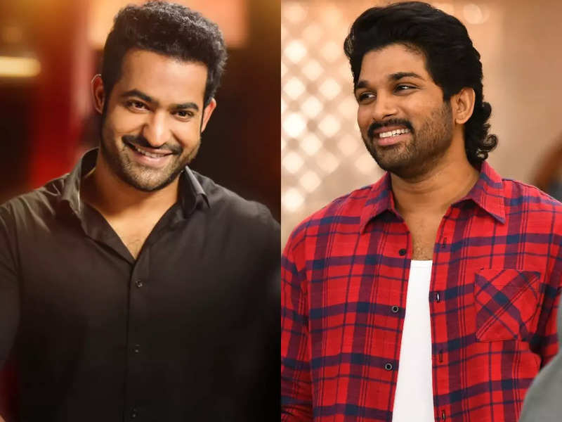 Ntr Jr to do a cameo in Pushpa: The Rule?