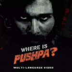 Pushpa Teaser: Where is Pushpa Raj Grips movie lovers