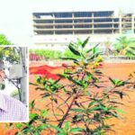 భూబకాసురుల దందా: ఎన్ఆర్ఐపై లుక్ అవుట్ నోటీసులు!