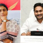 Sharmila to decide between Jagan and MP seat?