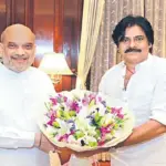 అమిత్ షా, నడ్డలతో భేటీలలో పవన్ ఎంతేల్చారు!