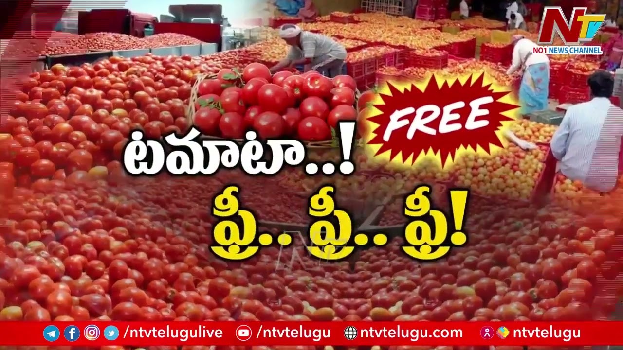 A man with a golden heart distributes free tomatoes amid surging prices
