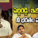 CBN blames Peddireddi for Punganuru violence