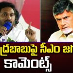 CM Jagan comments on Chandrababu