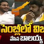 AP అసెంబ్లీ లో బాలయ్య విజిల్ అదుర్స్!