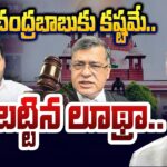 Chandrababu Naidu Quash Petition in  Supreme Court