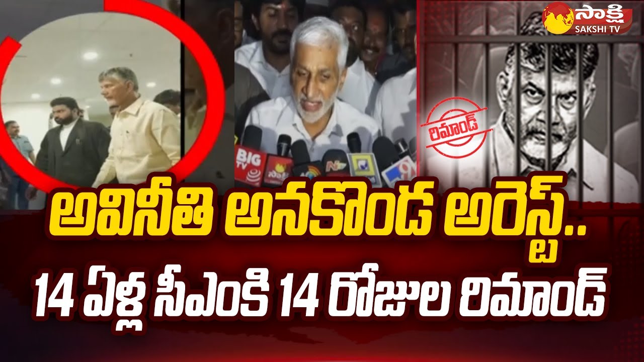 MP Vijaysai Reddy about Chandrababu