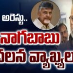 Nagababu First Reaction Over Chandrababu Arrest And Custody