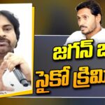 Pawan Kalyan Shocking Comments On Jagan
