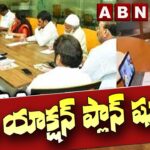 TDP action plan
