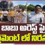 Tdp Protest on Chandrababu Arrest in Parliament