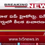 ACB Court Judgement On Chandrababu Custody And BAil Petition