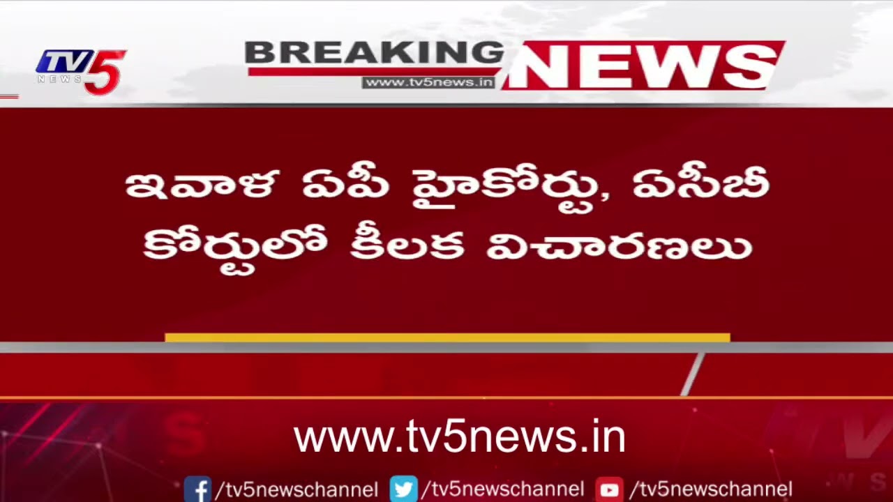 ACB Court Judgement On Chandrababu Custody And BAil Petition