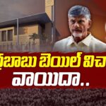 AP High Court Adjourned Chandrababu Naidu Bail Petition Hearing
