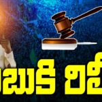Bail Granted to Chandrababu