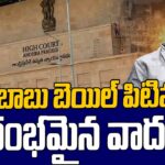 Chandrababu Bail Petition Hearing