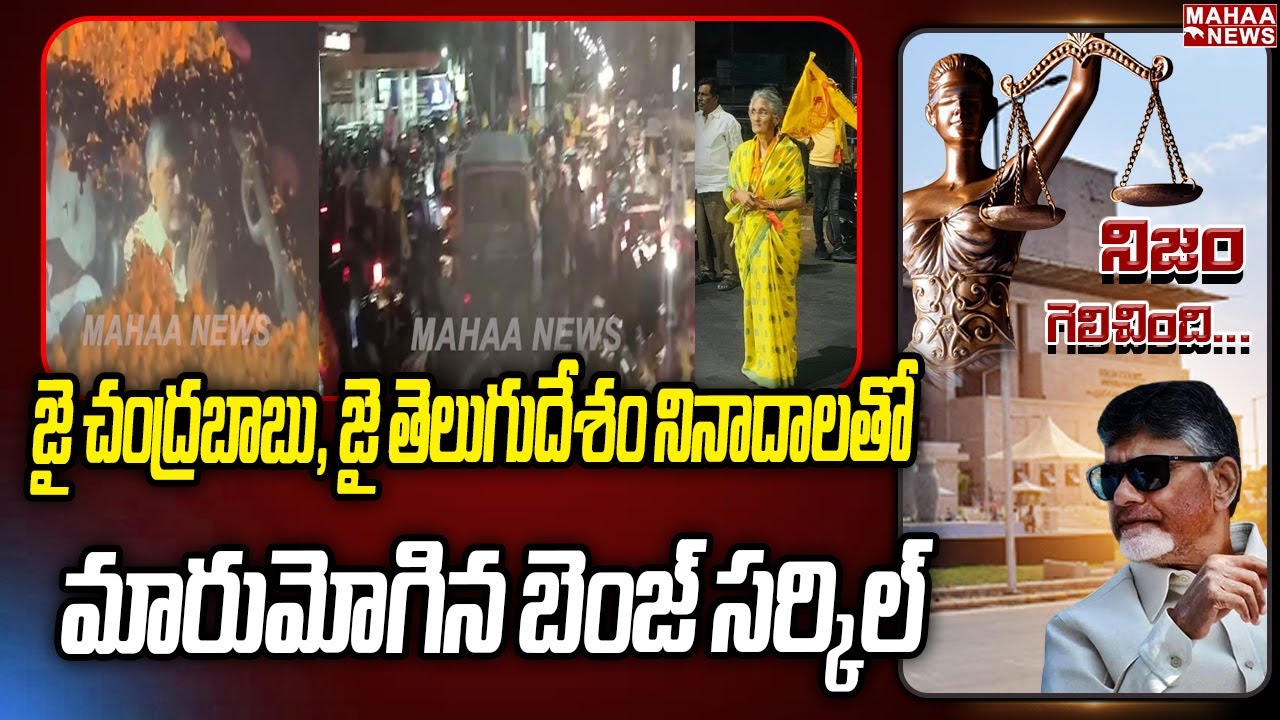 Chandrababu Naidu receives grand welcome in Vijayawada
