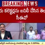 EC Transfers Several Collectors and SPs