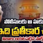Harish Salve Key Arguments on Chandrababu Naidu Quash Petition in Supreme Court Over Skill Case