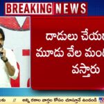 Janasena Pawan Kalyan Sensational Comments