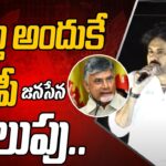 Janasena Pawan Kalyan Shocking Facts About TDP Janasena Alliance