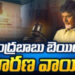 Live Chandrababu Bail Petition Hearing Adjourned