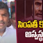 Minister Gudivada Amarnath Comments On Chandrababu Health Condition