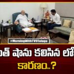 Nara Lokesh Meets Amit Shah