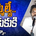 Pawan Kalyan Powerful Warning to Kaikalur MLA