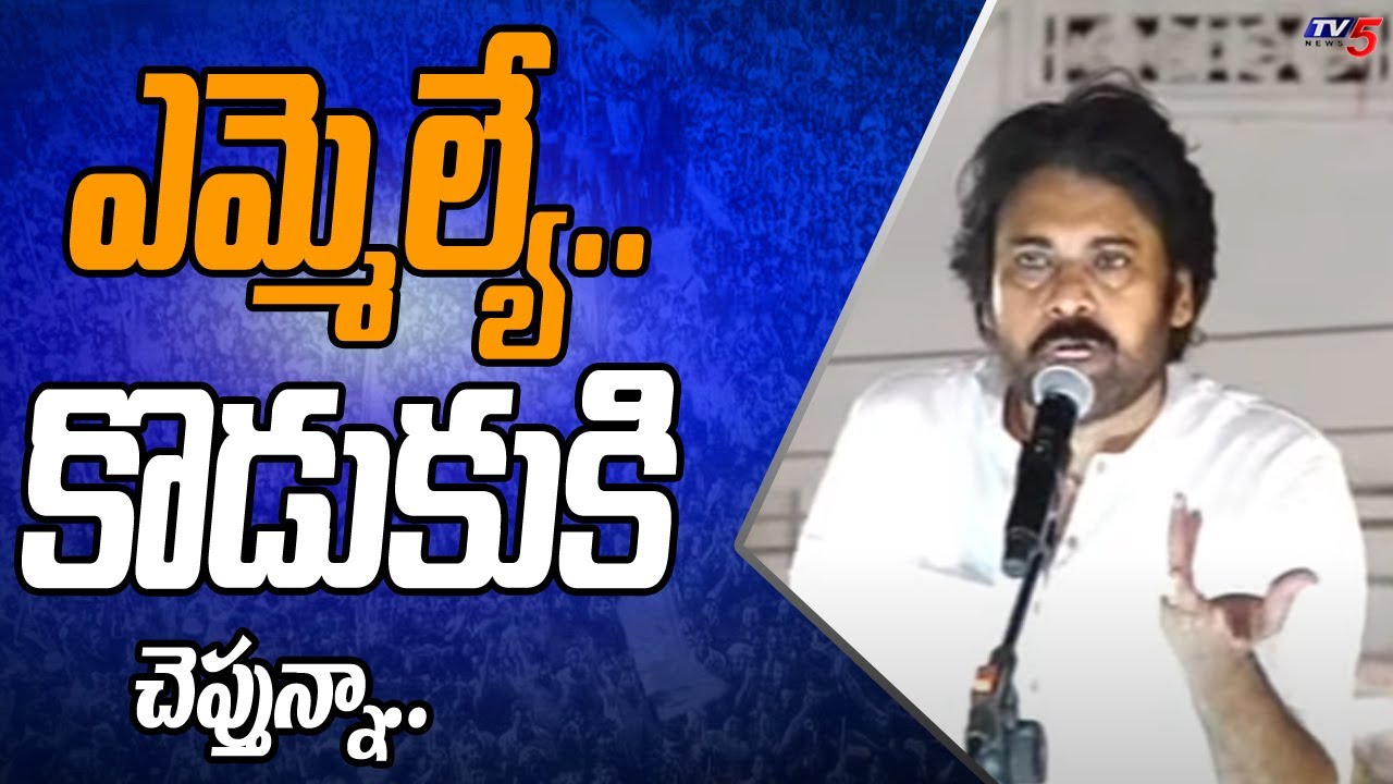 Pawan Kalyan Powerful Warning to Kaikalur MLA