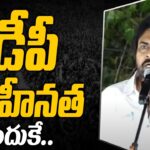 Pawan Kalyan Shocking Comments On Janasena TDP Alliance
