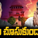 Chandrababu Naidu Ready to TDP Public Meeting