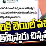 VijaySai Reddy Tweet on Purandeswari