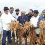Cyclone causes extensive damage to crops in Andhra Pradesh