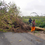 Cyclone Michaung crosses Andhra coast, triggers heavy rains