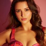 Triptii Dimri on ‘Animal’: Cinema’s about free artistic expression, it should be that way