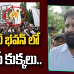 Kodali Nani’s satirical comments on TDP leaders