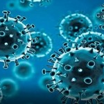 Telangana reports 4 new Covid cases