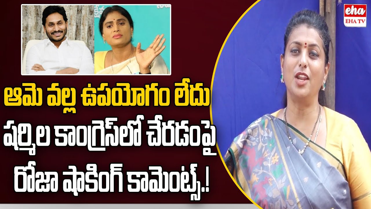 Minister RK Roja Shocking comments about YS Sharmila
