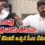 Telangana Chief Minister Revanth Reddy SHOCKING REPLY To Harish Rao Comments