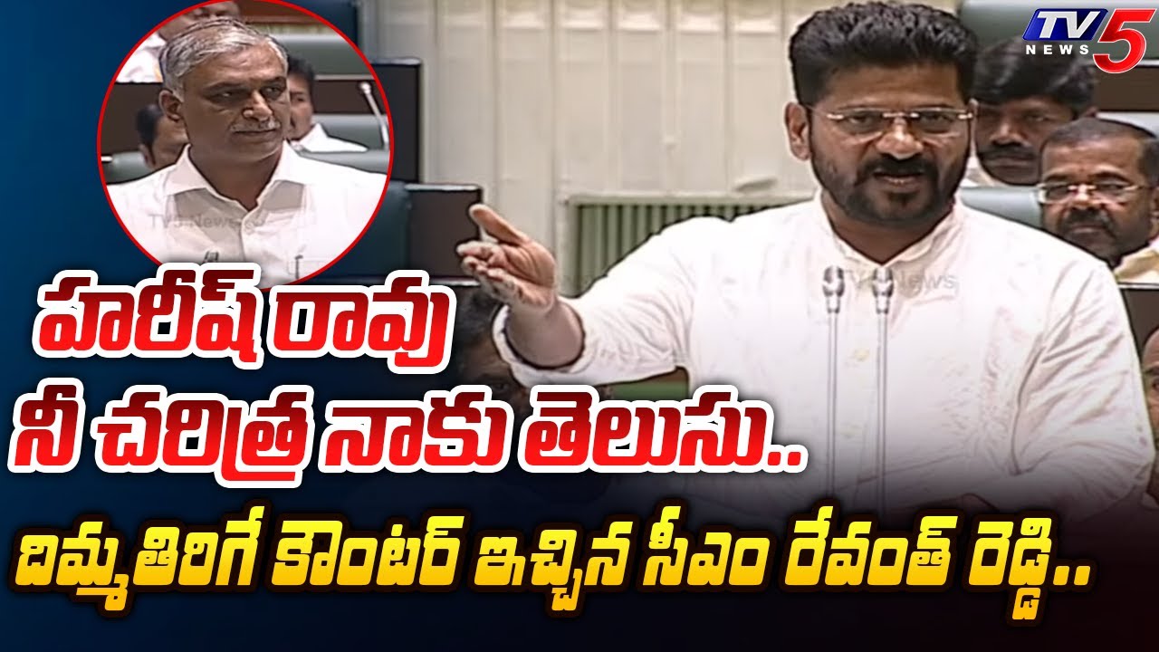 Telangana Chief Minister Revanth Reddy SHOCKING REPLY To Harish Rao Comments