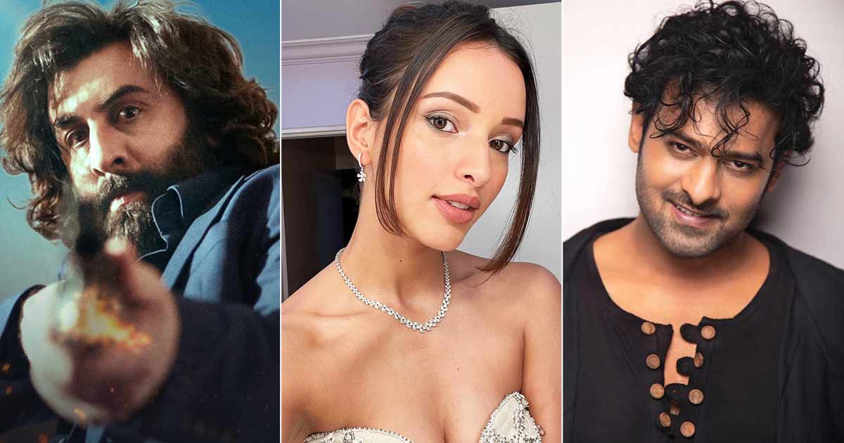 Animal beauty to play a substantial role in Prabhas’s next?