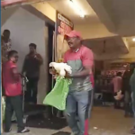 Andhra MLA distributes liquor, live chicken on festival day