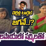 YS Sharmila meets YS Sunitha Reddy at Idupulapaya