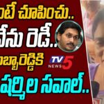 YS Sharmila’s strong counter to YV Subbareddy