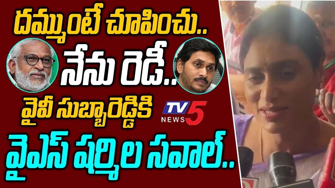 YS Sharmila’s strong counter to YV Subbareddy