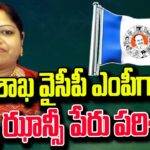 Botsa Jhansi Contesting As Visakhapatnam MP