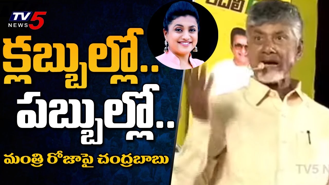 Chandrababu Sensational Comments on Minister Roja